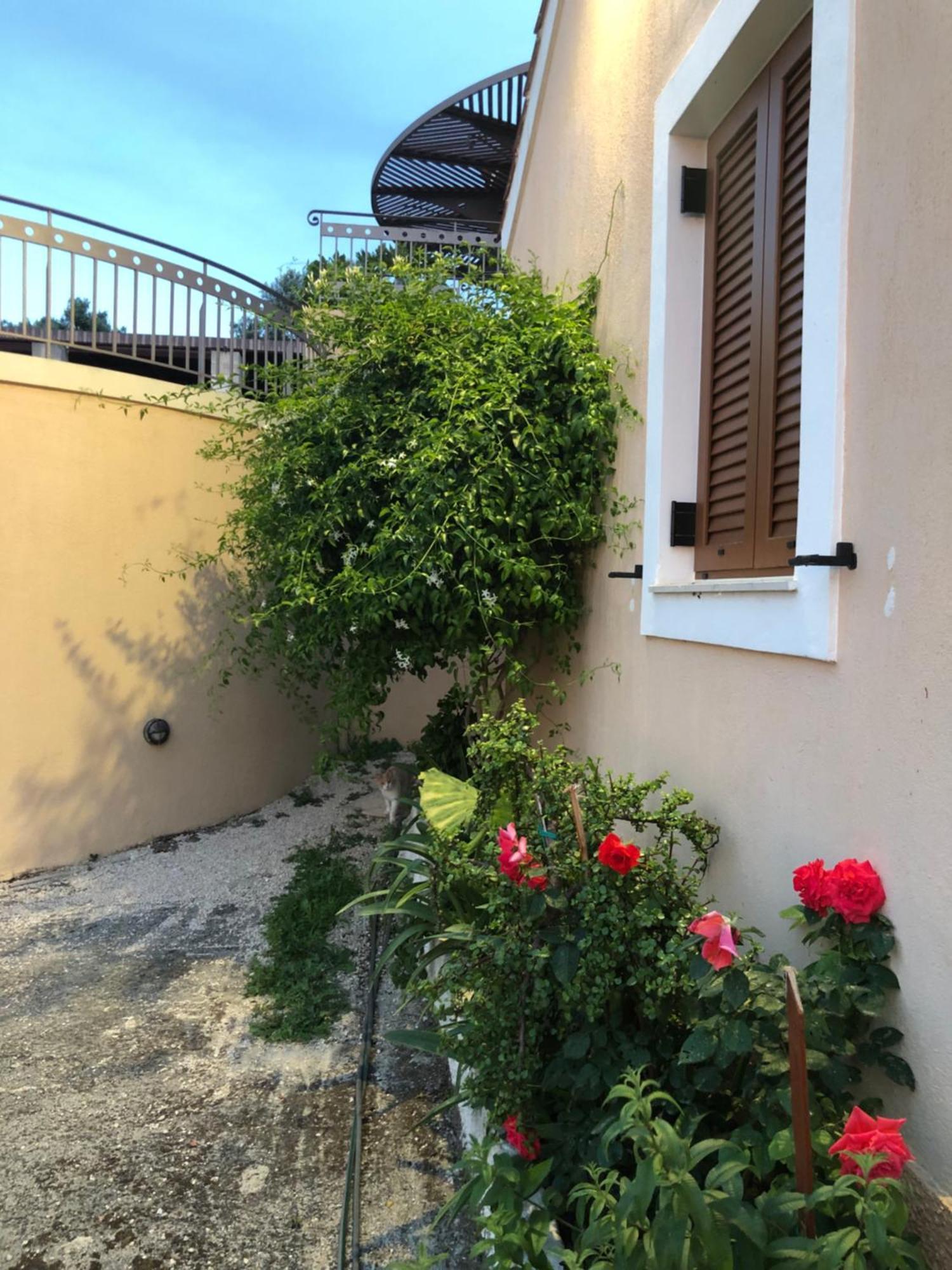 Northwest Studios Argostoli (Kefalonia) Exterior foto